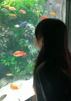 田中と田中は不仲です