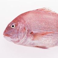 スーパー暇人野郎さんのアイコン画像