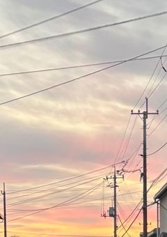 推し事履歴書