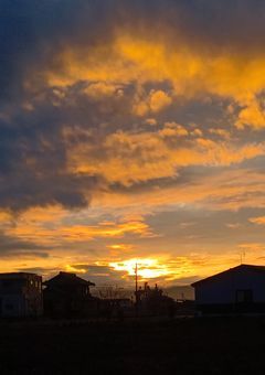 【参加型】いちごマイクラの紅一点