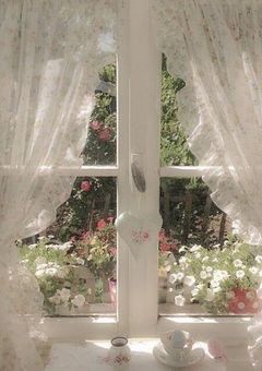 🌸🎈　‖　Tag