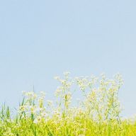 CHOCOさんのアイコン画像