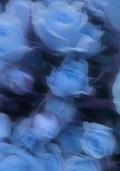 自分の好きな配信者の様子が 、 おかしくなった件。 