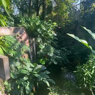 カナさんのアイコン画像