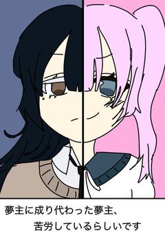 夢主に成り代わった夢主、苦労しているらしいです