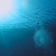 古海 玲さんのアイコン画像