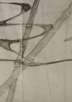 フリー・ストレンジャー(自然の守り人編)