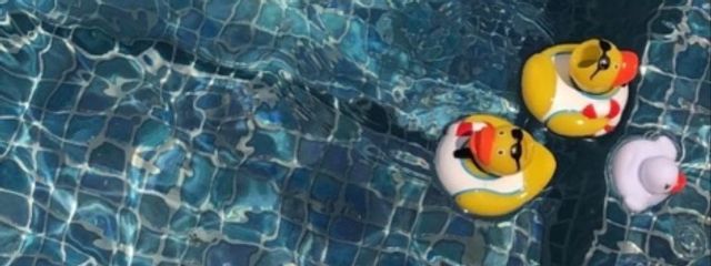 たぴおか粉さんの壁紙画像