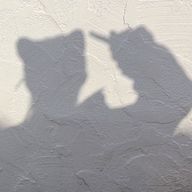 ᵃᵏᵘᵃさんのアイコン画像