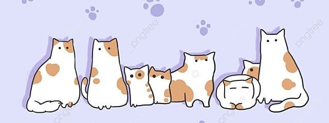 𝕤𝕒𝕣𝕒さんの壁紙画像