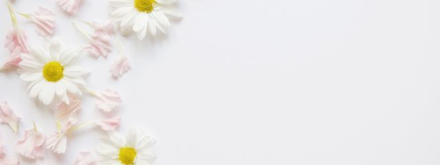 真桜　🎀～推し活大好きな限界オタク～🎀　さんの壁紙画像