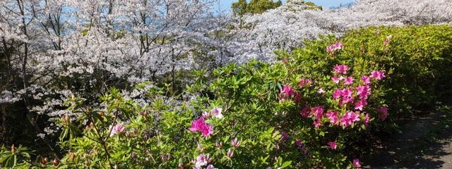 伊千時 さんの壁紙画像