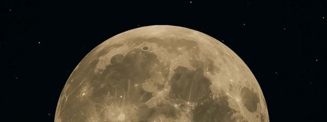 ⍤ひな⍤さんの壁紙画像