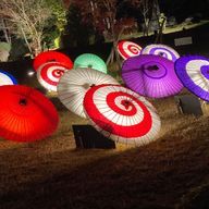 月影 悠香さんのアイコン画像