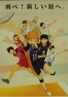 ハイキュー!!