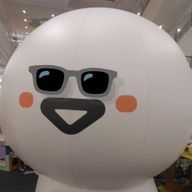 いるかさんのアイコン画像