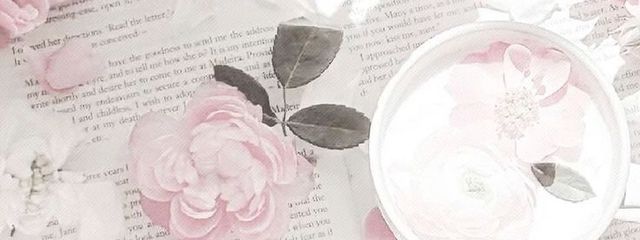 　⋆.𐙚 ̊　さんの壁紙画像