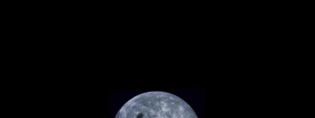 にこさんの壁紙画像