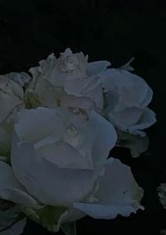  ♪ 恋のフィルター越しの世界 ♪