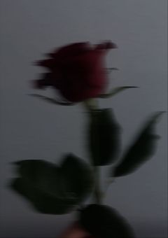 TO.X