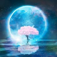 あくるみり（ブルロ）さんのアイコン画像