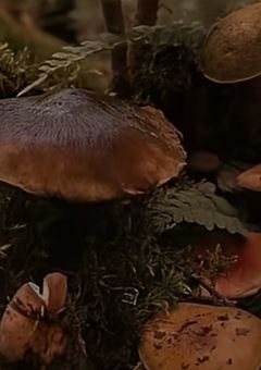 今日のひとこと