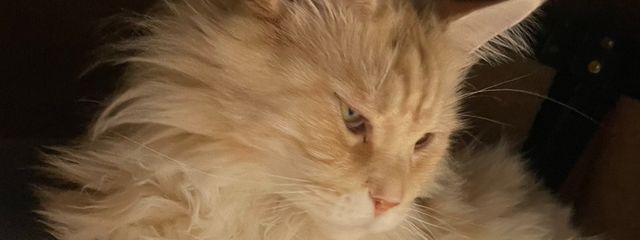 ゆなちんさんの壁紙画像