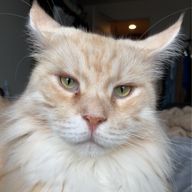 ゆなちんさんのアイコン画像