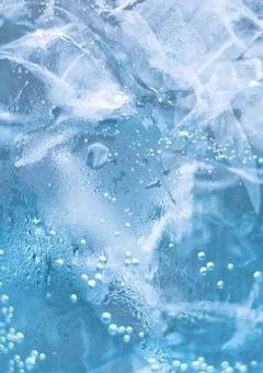 雷 夜 の 関 係 者 募 集 .