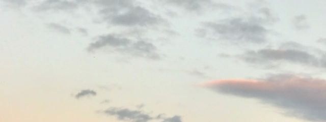 たらこくちびるさんの壁紙画像