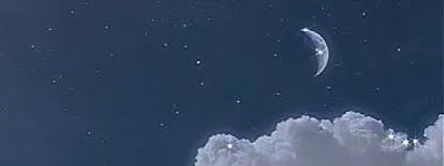 ︎m_🐈🐾さんの壁紙画像