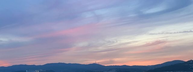 みさんの壁紙画像