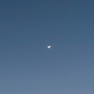 らてまるさんのアイコン画像