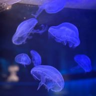 rさんのアイコン画像