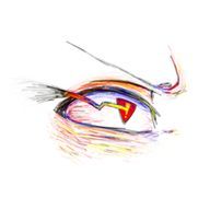 お目汚しさんのアイコン画像