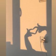  あい🎀🪽‪#スプラでももナナ煽り隊☆さんのアイコン画像