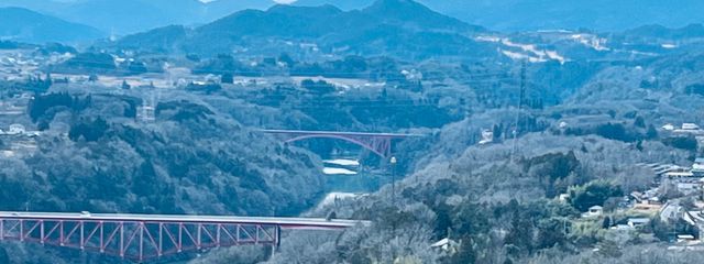 りのあฅ•ﻌ•´ฅさんの壁紙画像