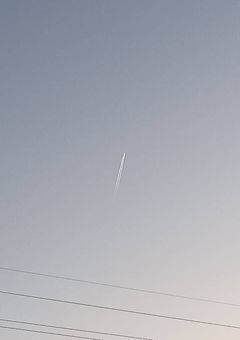 落ちぶれ天使の賛歌