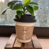 ペンペン草の化身(・      ∀      ・)さんのアイコン画像