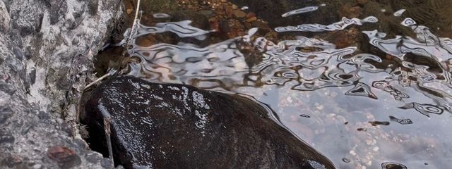 七篠 アンさんの壁紙画像