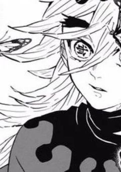 童磨の妹　ヒーロー社会に