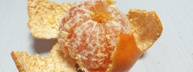 んがおさんの壁紙画像