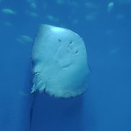 ゆえ＠サブ垢さんのアイコン画像