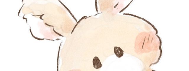 ʚあんこɞさんの壁紙画像