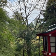 かすたーどちゃんさんのアイコン画像