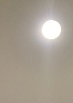 A Princess & Pirates