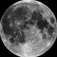 chankoro❤︎ꉂσ̴̶̷̤ . σ̴̶̷̤さんのアイコン画像