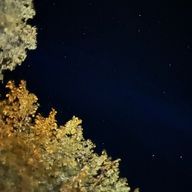 ソラさんのアイコン画像