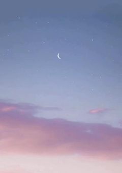 365æ¥âŠåã«ç¶Žãã©ãã¬ã¿ãŒ