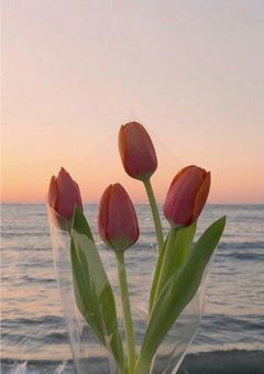 ããæ¥9人ã®åçœãããŸããâŠ